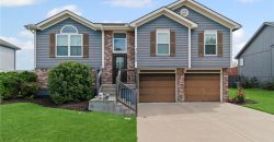 Homes for Sale in Kansas City, MO 64155 | 9209 N Mulberry Avenue