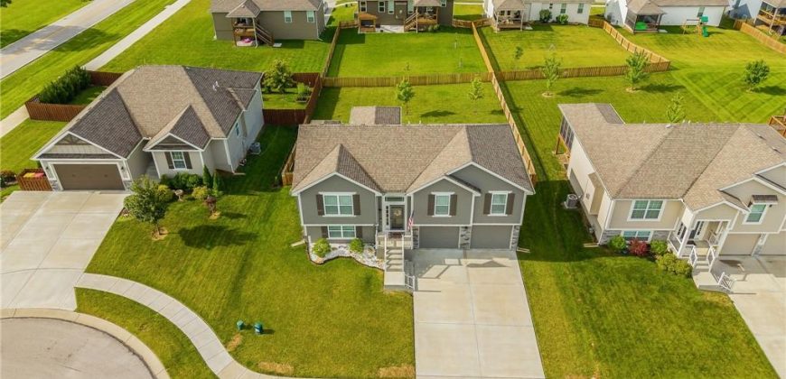 Homes for Sale in Kearney, MO 64060 | 1603  CHESTNUT Street