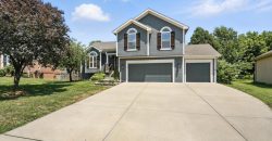 Homes for Sale in Kansas City, MO 64157 | 11039 N Skiles Avenue