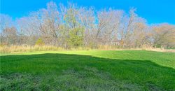 Homes for Sale in Platte City, MO 64079 | 12435  Appaloosa Street