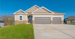 Homes for Sale in Platte City, MO 64079 | 12435  Appaloosa Street
