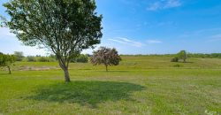 Homes for Sale in Kearney, MO 64060 | 23813 NE 172nd Street