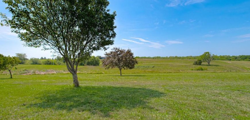 Homes for Sale in Kearney, MO 64060 | 23813 NE 172nd Street