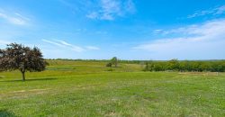 Homes for Sale in Kearney, MO 64060 | 23813 NE 172nd Street