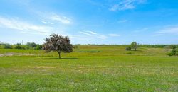 Homes for Sale in Kearney, MO 64060 | 23813 NE 172nd Street