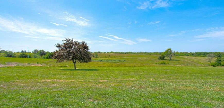 Homes for Sale in Kearney, MO 64060 | 23813 NE 172nd Street