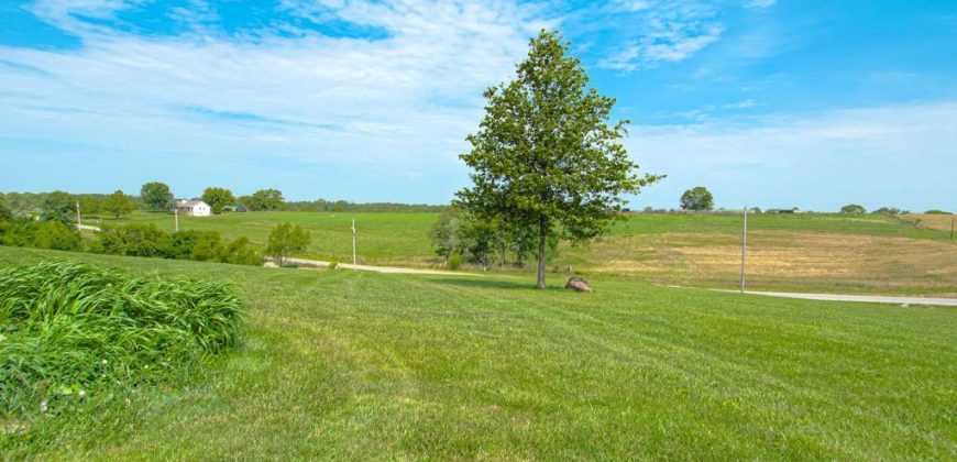 Homes for Sale in Kearney, MO 64060 | 23813 NE 172nd Street