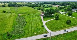 Homes for Sale in Kearney, MO 64060 | 12806  33 Highway