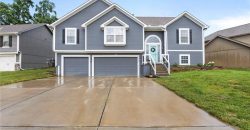Homes for Sale in Kansas City, MO 64157 | 10744 N Laurel Avenue