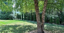 Homes for Sale in Kansas City, MO 64155 | 1605 NE 94th Street