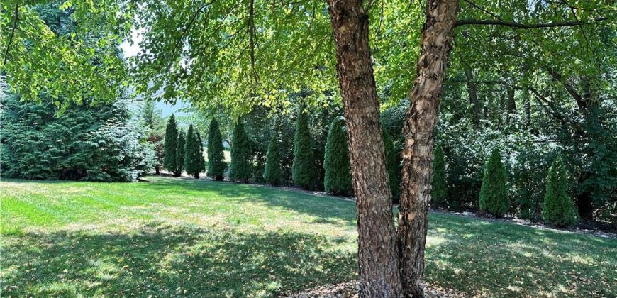 Homes for Sale in Kansas City, MO 64155 | 1605 NE 94th Street