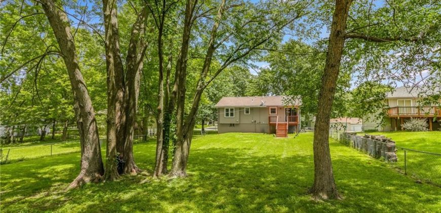 Homes for Sale in Kansas City, MO 64155 | 11004 N Locust Street