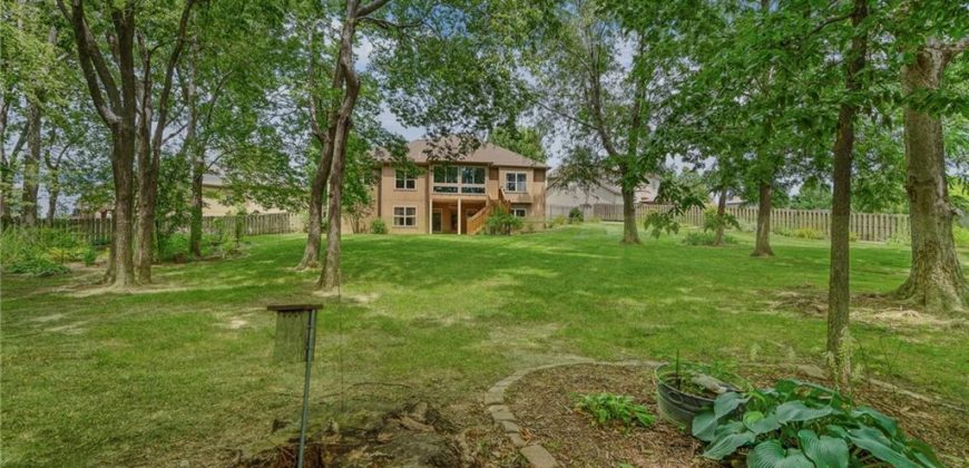 Homes for Sale in Kansas City, MO 64154 | 8752 N Saint Clair Avenue