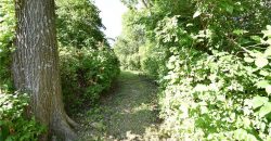 Homes for Sale in Excelsior Springs, MO 64024 | 16210  Baxter Road