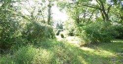 Homes for Sale in Excelsior Springs, MO 64024 | 16210  Baxter Road