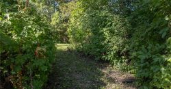 Homes for Sale in Excelsior Springs, MO 64024 | 16210  Baxter Road