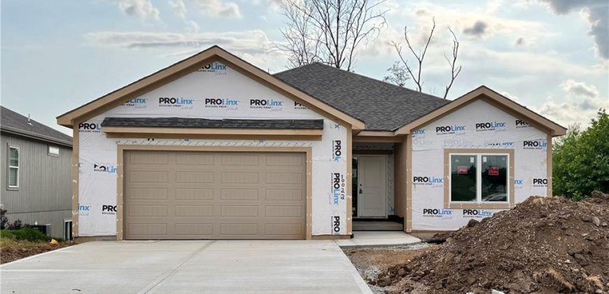Homes for Sale in Kansas City, MO 64157 | 10022 N Oakland Avenue