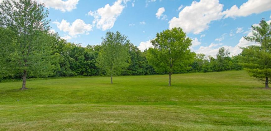 Homes for Sale in Kansas City, MO 64119 | 8134 N Elmwood Avenue