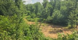 Homes for Sale in Camden Point, MO 64018 | 9170  E Highway