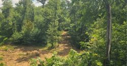 Homes for Sale in Camden Point, MO 64018 | 9170  E Highway