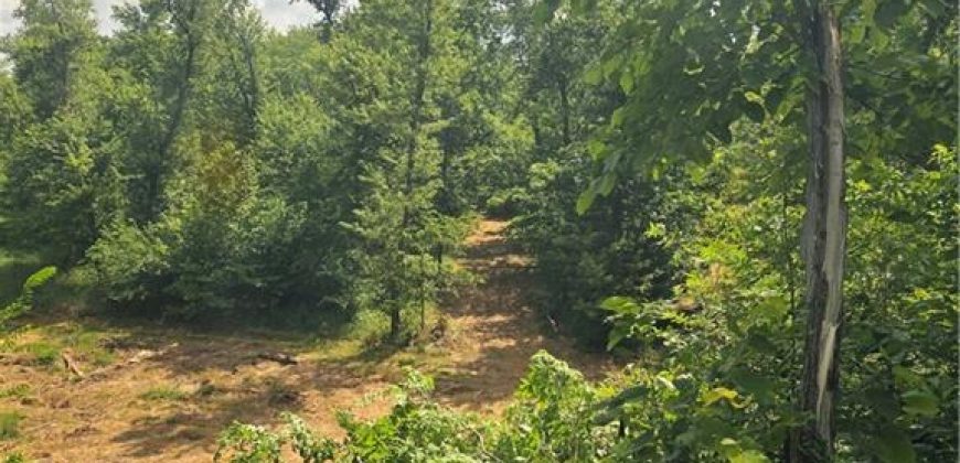 Homes for Sale in Camden Point, MO 64018 | 9170  E Highway