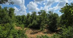 Homes for Sale in Camden Point, MO 64018 | 9170  E Highway