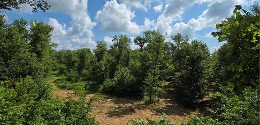 Homes for Sale in Camden Point, MO 64018 | 9170  E Highway