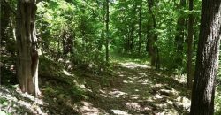 Homes for Sale in Camden Point, MO 64018 | 9170  E Highway