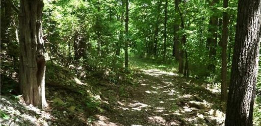 Homes for Sale in Camden Point, MO 64018 | 9170  E Highway