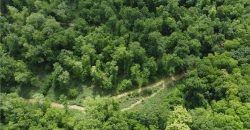 Homes for Sale in Camden Point, MO 64018 | 9170  E Highway