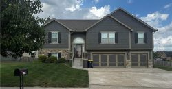 Homes for Sale in Kansas City, MO 64157 | 10805 N Richmond Avenue