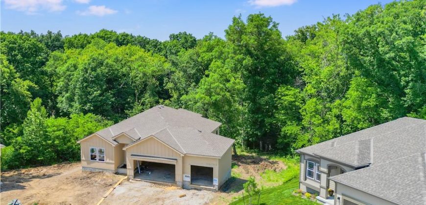 Homes for Sale in Kearney, MO 64060 | 1300  Melissa Court