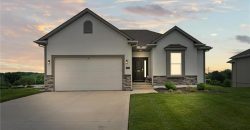 Homes for Sale in Kansas City, MO 64154 | 9504 N Amoret Avenue