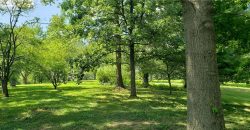Homes for Sale in Platte City, MO 64079 | 18455 NW 112th St Terrace
