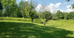 Homes for Sale in Platte City, MO 64079 | 18455 NW 112th St Terrace