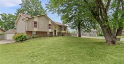 Homes for Sale in Kansas City, MO 64154 | 2219 NW 84th Terrace