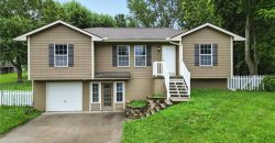 Homes for Sale in Kearney, MO 64060 | 713  Jesse Street