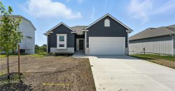 Homes for Sale in Kansas City, MO 64154 | 9616 N Amoret Avenue