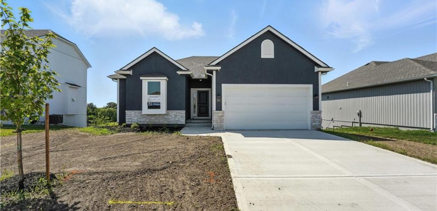 Homes for Sale in Kansas City, MO 64154 | 9616 N Amoret Avenue