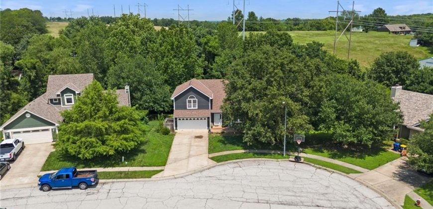 Homes for Sale in Smithville, MO 64089 | 8  Sherry Court