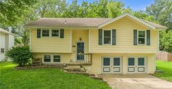 Homes for Sale in Kansas City, MO 64155 | 311 NE 101st Place
