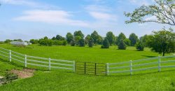Homes for Sale in Smithville, MO 64089 | 13223 N Virginia Avenue