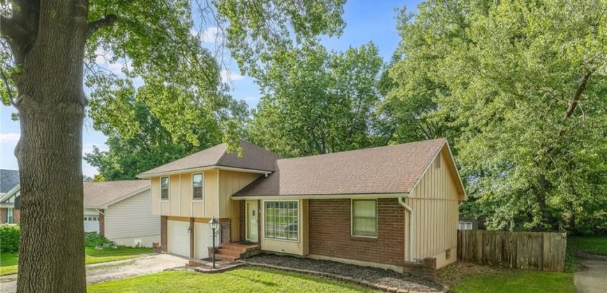 Homes for Sale in Parkville, MO 64152 | 10100 NW Mirror Lake Court