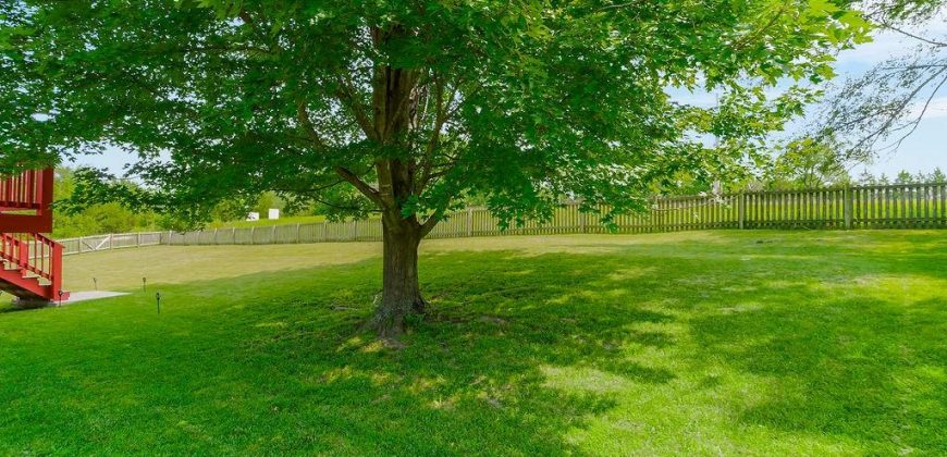 Homes for Sale in Kansas City, MO 64151 | 1807 NW 79th Street