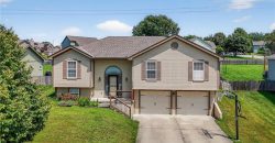 Homes for Sale in Kansas City, MO 64155 | 11705 N Charlotte Street