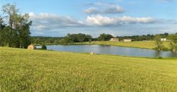 Homes for Sale in Smithville, MO 64089 | 16695  B Highway