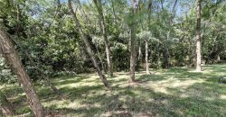 Homes for Sale in Kearney, MO 64060 | 1042 E 14th Street