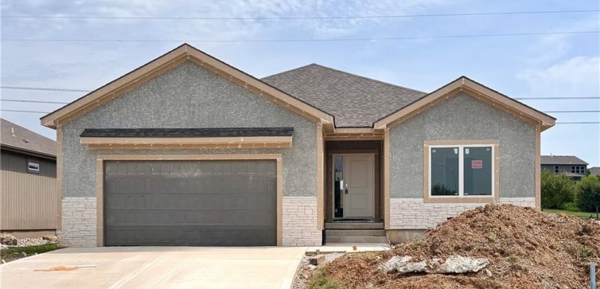 Homes for Sale in Kansas City, MO 64157 | 10101 N Oakland Avenue