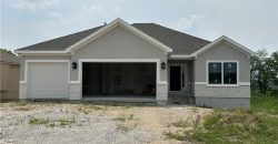 Homes for Sale in Lawson, MO 64062 | 462  Green Drive