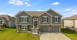 Homes for Sale in Kearney, MO 64060 | 1603  CHESTNUT Street